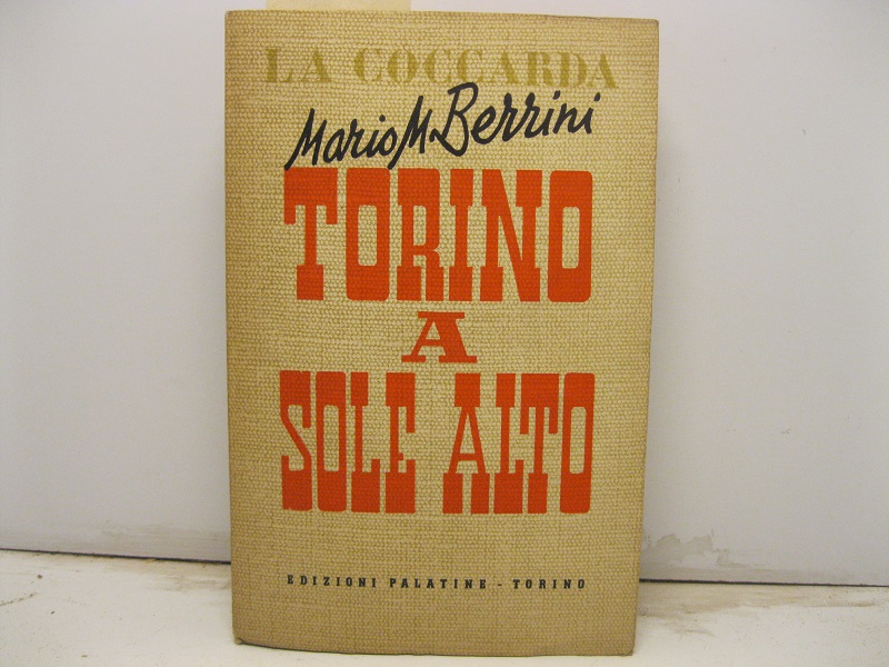 Torino a sole alto.